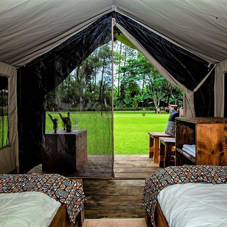 Africa Safari Camping Mto wa Mbu Zewnętrze zdjęcie