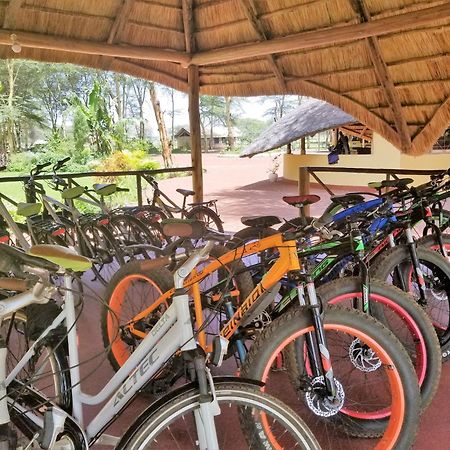 Africa Safari Camping Mto wa Mbu Zewnętrze zdjęcie