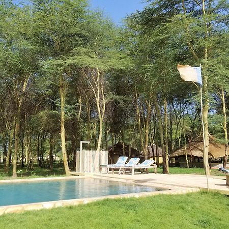 Africa Safari Camping Mto wa Mbu Zewnętrze zdjęcie